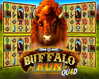 Buffalo Run Quad